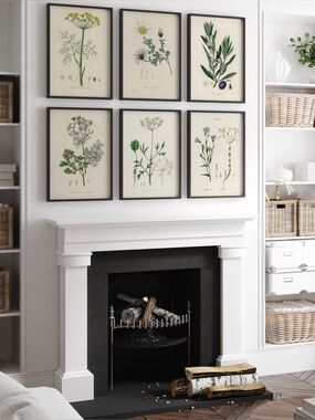 NEW Botanical Wall Art Prints (6) Size 11” x 14”